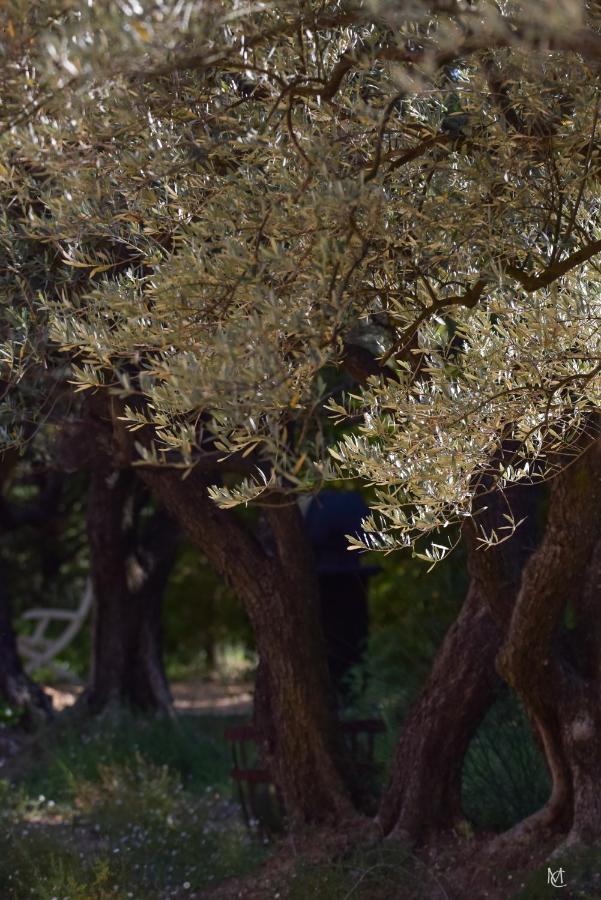 Le Mas Carre Séguret Exteriér fotografie